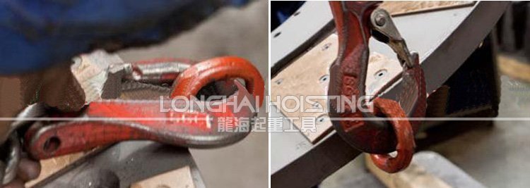 盧森堡DSP+C旋轉吊環使用案例 盧森堡DSP+C旋轉吊環使用案例